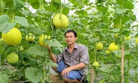 Mô hình khởi nghiệp rau sạch của anh Nguyễn Thanh Liêm (ở xã Việt Ðoàn, huyện Tiên Du) được vay vốn từ Tỉnh Ðoàn Bắc Ninh
