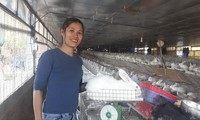 Chị Thân Thị Ái Vân khởi nghiệp thành công với mô hình nuôi thỏ Ảnh: N.T 