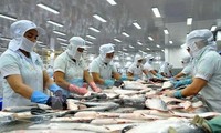Ai Cập - thị trường tiềm năng của cá tra Việt Nam