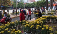 Dân hôi hoa ở Đồng Đăng ảnh: Duy Chiến 