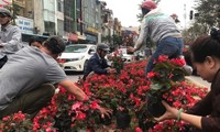 “Hôi hoa” phản cảm diễn ra trên đường Kim Mã, Hà Nội