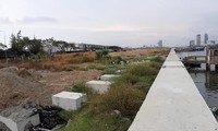 Bờ kè kiên cố đã được xây và đổ đất lấn sông Hàn làm dự án bất động sản và bến du thuyền