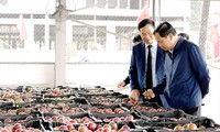Bộ trưởng NN&PTNT Nguyễn Xuân Cường kiểm tra vùng nguyên liệu và nhà máy chế biến rau quả ở Ninh Bình