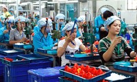 Dây chuyền sản xuất đồ chơi xuất khẩu tại Việt Nam ảnh: hồng vĩnh