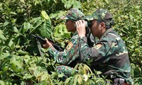 Các chiến sĩ Đồn Biên phòng Cửa khẩu quốc tế Lao Bảo (Quảng Trị) mật phục ngăn chặn tội phạm và đối tượng xuất, nhập cảnh trái phép ẢNH: NGUYỄN MINH