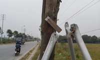 Vừa thay mới, hàng ngàn cọc chống cây xanh ngoại thành Hà Nội đã gãy đổ