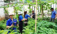 Tuổi trẻ Đắk Lắk tô thêm sắc xanh bảo vệ môi trường