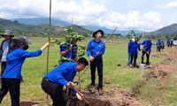 Tuổi trẻ Đắk Lắk bảo vệ môi trường