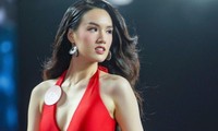 Thành tích IELTS của thí sinh Hoa hậu Việt Nam 2022