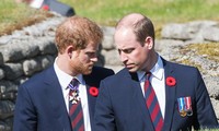 Hoàng tử William suy sụp vì cáo buộc đánh Harry