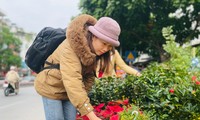 Chợ hoa Hoàng Hoa Thám rực rỡ, náo nhiệt mùa cận Tết