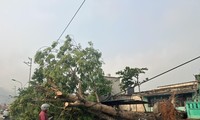 Mưa đá, gió lốc gây nhiều thiệt hại tại Sơn La