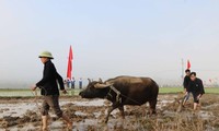 Tưng bừng lễ hội xuống đồng của người Thái ở Lai Châu