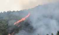 Forest fire in dry weather in Lai Chau