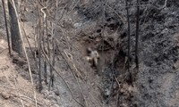 Phát hiện thi thể 3 bố con chết cháy trong khe núi ở Điện Biên