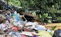 Đoạn sông ngập rác, bốc mùi hôi thối ở Hà Nội