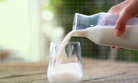 Bệnh nhân ung thư phải kiêng uống sữa vì sẽ &apos;nuôi khối u phát triển&apos;?