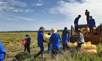 Gặt lúa giúp dân trong khu vực phong tỏa tạm thời