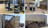 Độn hơn 24 tấn than lậu trong xe chở dăm gỗ xuất khẩu sang Lào