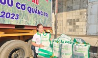 Gạo hữu cơ Việt xuất khẩu châu Âu, giá bán 1.800 USD/tấn