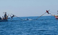 Săn cá voi mưu sinh gần hòn đảo hẻo lánh