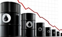 Giá dầu lao dốc, OPEC đang bị chia rẽ