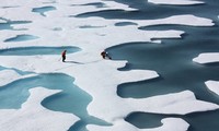 Biển băng Bắc Cực đang sụt giảm về diện tích. Ảnh: Flickr.