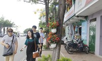 Dân Đà Nẵng treo giỏ hoa khắp đường đón APEC