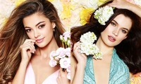 Nguyễn Thị Loan lọt top 10 ảnh Glamshot đẹp nhất cuộc thi Miss Universe