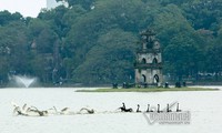 Đàn thiên nga được thả ngày 5.2 tại Hồ Gươm. Ảnh: Vietnamnet