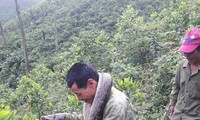 Nhóm người dân Hương Lâm đưa con trăn về nhà