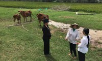 Đại diện Công ty TNHH Xử lý Chất thải Việt Nam cùng chính quyền địa phương xuống thăm hỏi tình hình làm ăn của các hộ gia đình được hỗ trợ nguồn vốn từ “Qũy hỗ trợ cộng đồng David Dương” tại huyện Thủ Thừa (tỉnh Long An). 
