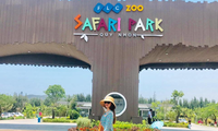 Hòa mình vào thiên nhiên hoang dã tại FLC Zoo Safari Park Quy Nhon