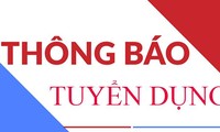 Tổng công ty cổ phần Thương mại Xây dựng (WTO) tuyển dụng Kỹ sư kinh tế xây dựng