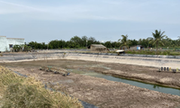 Khẩn trương hành động để đảm bảo nước sạch cho người dân đồng bằng sông Cửu Long 