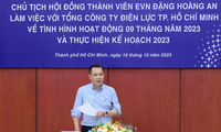 Chủ tịch HĐTV Tập đoàn Điện lực Việt Nam làm việc với Tổng công ty Điện lực TPHCM