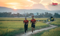 SABECO tiếp tục là nhà tài trợ kim cương của giải Vô địch Quốc gia Marathon lần thứ 65 của báo Tiền Phong