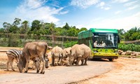 Diệu kỳ hành trình khôn lớn của &apos;hot kid&apos; bé Mây tại Vinpearl Safari Phú Quốc