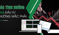 Chuyên gia FxMills gợi ý phương pháp đầu tư chứng khoán thông minh