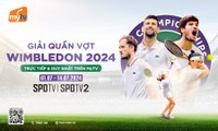 Xem trực tiếp giải quần vợt Wimbledon 2024 duy nhất trên MyTV