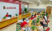 Agribank phát hành 10.000 tỷ đồng trái phiếu ra công chúng năm 2024