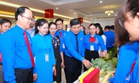 Bình Dương tổ chức thành công Đại hội điểm Hội LHTN Việt Nam cấp huyện