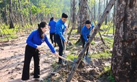 Vườn cây thanh niên hàng chục tỉ đồng của tuổi trẻ đất Thủ