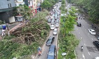 Đường phố Hà Nội vẫn ngổn ngang cây đổ, người dân &apos;vượt ải&apos; ùn tắc đến công sở