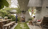 Chiêm ngưỡng căn nhà mang cả vườn nhiệt đới lên sân thượng