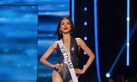 Lý do Bùi Quỳnh Hoa trượt top 20 Hoa hậu Hoàn vũ