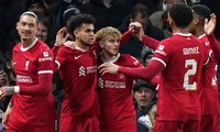 Các cầu thủ Liverpool ăn mừng.