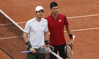 Andy Murray và Novak Djokovic. 