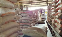 Việt Nam ưu đãi nhập khẩu 300.000 tấn gạo từ Campuchia với thuế suất đặc biệt