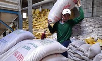 Xuất khẩu gạo Việt Nam có thể vượt 6,5 triệu tấn 